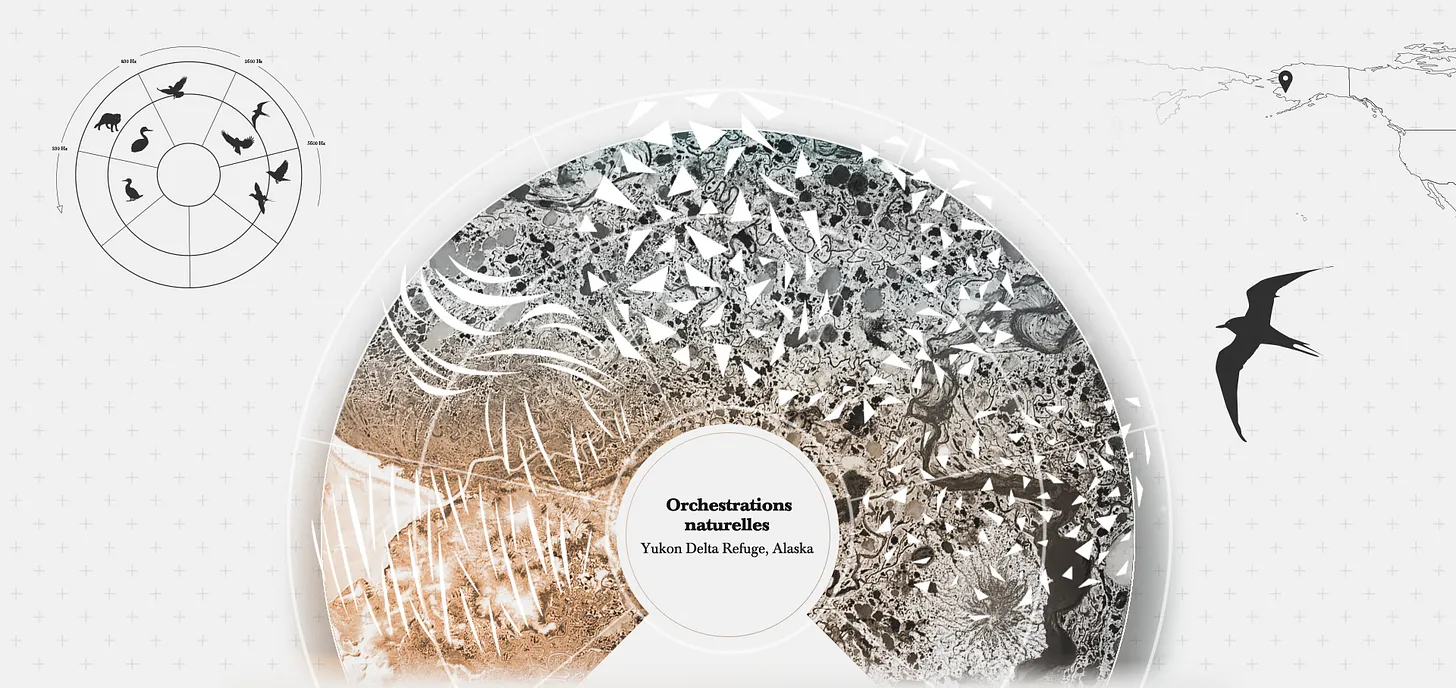 Bernie Krause et le Grand des Orchestre des animaux